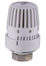Thermostatic head for radiator valve